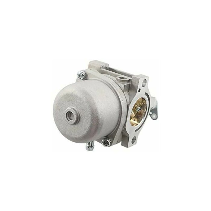 Carburateur MCHNIC Compatible Briggs & Stratton 11-13.5 CV - Remplace 799728 498027 495706 - Avec Joint
