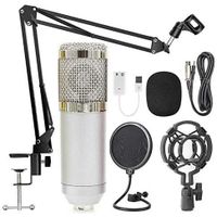 BM-800 Microphone à Condensateur Kit, Micro Studio Streaming Professionnel avec Suspension Bras pour PC,Gamer, Argenté