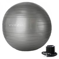 Ballon de yoga - VIVEZEN - Diam 65 cm - Gris - Fitness, Gymnastique