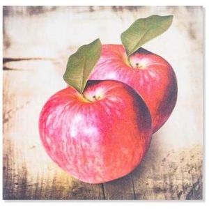 tableau toile pomme cdiscount