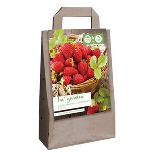 GRAINE - SEMENCE Sachet de 10 plants de fraisiers Elsanta