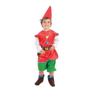 DÉGUISEMENT - PANOPLIE Déguisement de gnome pour enfant - Marque - Modèle - Multicolore - Garçon - Intérieur