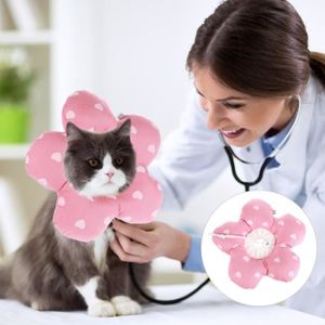 Camera Collier Chat Cdiscount