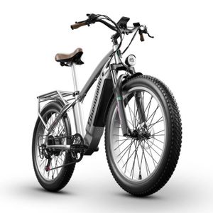 VÉLO ASSISTANCE ÉLEC Vélo électrique 26''  - Vélo électrique de ville  