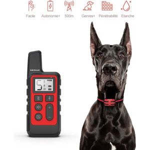 أخبار كينيا الإعفاء Collier Anti Aboiement Petit Chien Maxi Zoo Vestehelvetica Com أخبار كينيا الإعفاء Collier Anti Aboiement Petit Chien Maxi Zoo Vestehelvetica Com