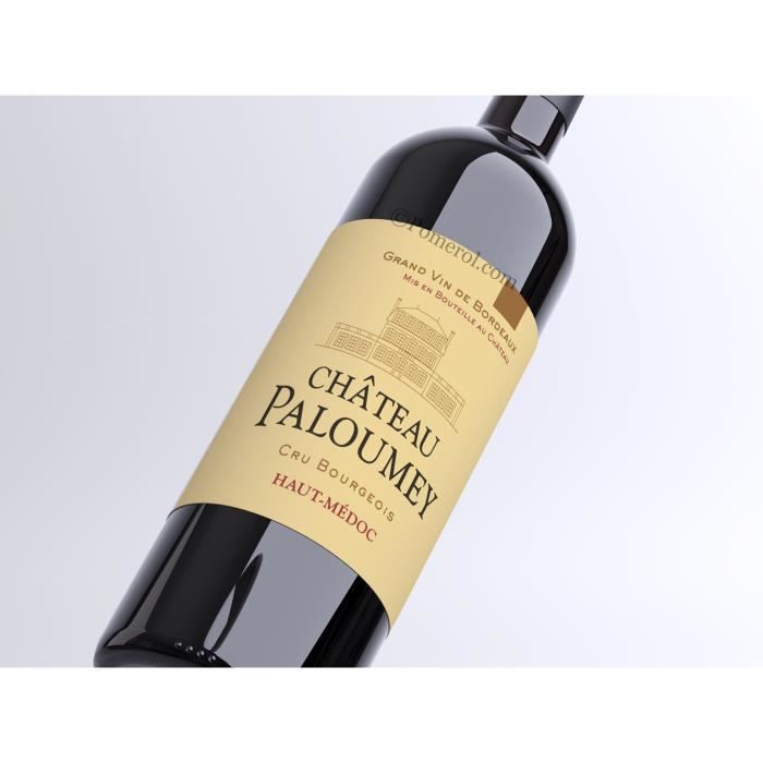 X3 Château Pape-Clement 2016 - AOC Pessac-Léognan Rouge - 96 Wine Spectator - Bouteille (75cl)