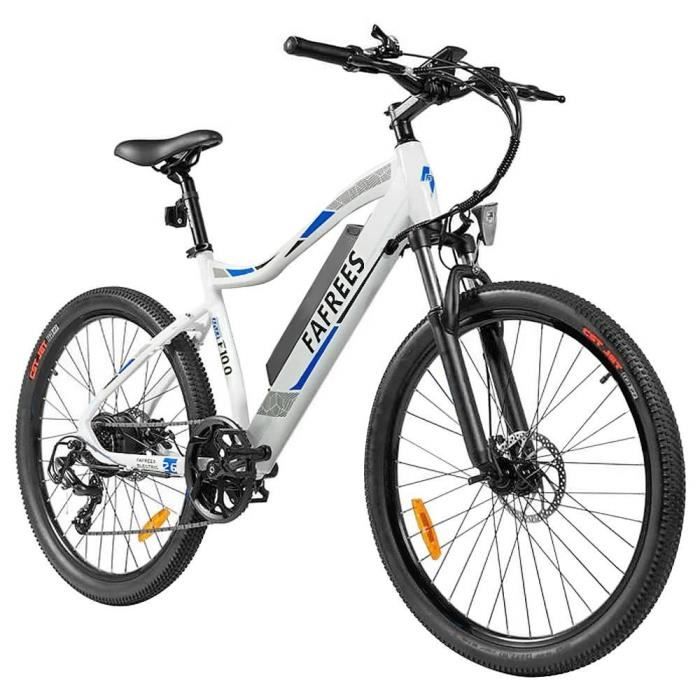 Fafrees F100 Vélo électrique 26 pouces Vitesse maximale 33Km / h Mountain Ebike Moteur 350W Batterie amovible SONY 48V 11.6Ah Systèm