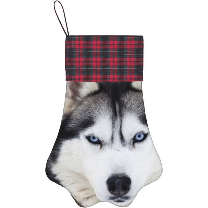 Chaussette noel deals chien