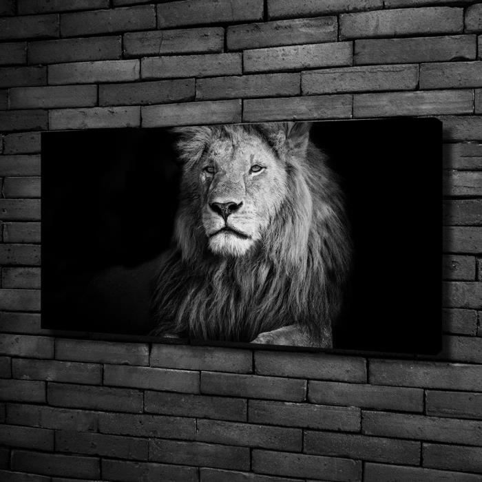 Tulup 100x50 Cm Art Mural Image Sur Toile Animaux Lion Noir Blanc Mixte Achat Vente Tableau Toile Cdiscount Fourrure imprimé velboas vache noir et blanc. cdiscount com