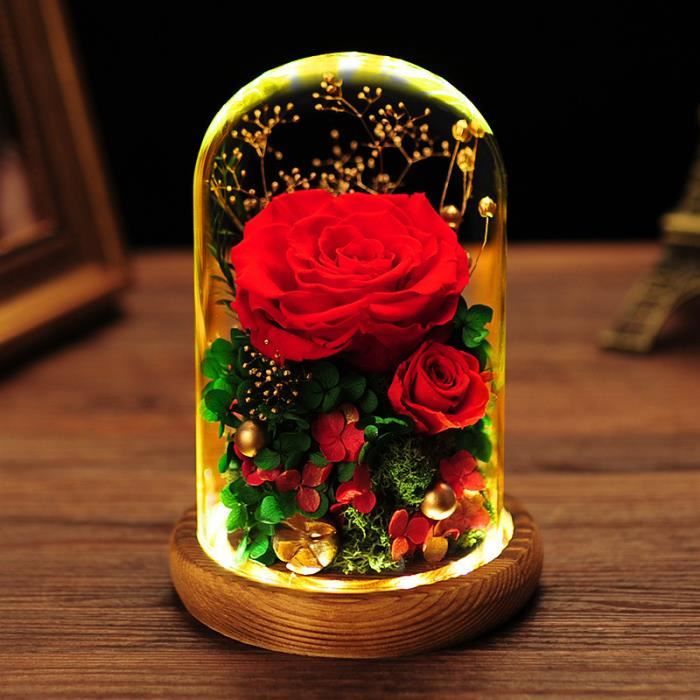 Rose Eternelle Sous Cloche, La Belle et La Bete avec des lumières LED  Fleurs Eternelles Cadeau pour Femmes et Filles - Cdiscount Maison