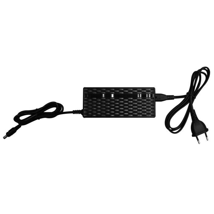 Chargeur 42v 2a Pack Batterie Batterie Lithium 36V 6Ah Pour Vélo électrique - Étanche - Avec Chargeur 42V 2A - Pour Moteurs 250W-350W - Connexion XT60 Batterie VAE Prise XT60