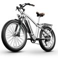 Vélo électrique 26''  - Vélo électrique de ville  - fat bike  - batterie Amovible 48V15Ah - Bafang 1000W - Frein hydraulique-2