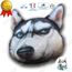 Scarica Gratis Images Td Oreiller Husky Couverture Ergonomique Enfant De Voyage Bebe 3 dernière salutations