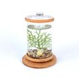 Aquarium,Mini Aquarium en verre rotatif à 360 degrés Betta, Base en bambou, décoration, rotation, accessoires de bureau - Type C-0