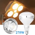 TEMPSA 275W E27 infrarouge Infra-rouge Ampoule lampe Chauffante Lumière Maison Bulb-0