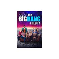 The Big Bang Theory, Saisons 1 A 11, 255 épisodes [DVD]