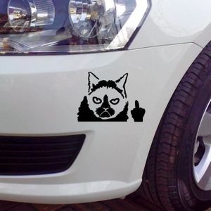 Autocollant Voiture Chat Achat Vente Pas Cher