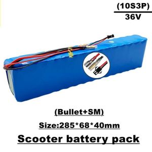 Batterie de vélo électrique 36 Volts 320 Wh,avec sac et clé de contact