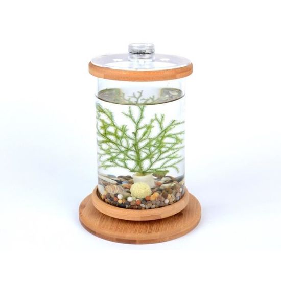 Aquarium,Mini Aquarium en verre rotatif à 360 degrés Betta, Base en bambou, décoration, rotation, accessoires de bureau - Type C