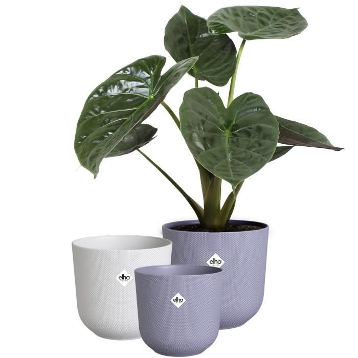 ELHO Lot de 3 pots de fleur rond Jazz Ø14xH131 Ø16xH153 Ø19xH176 cm 7 Lila et