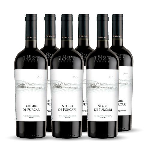 Château Purcari NEGRU DE PURCARI Rouge 2019 6x75cl