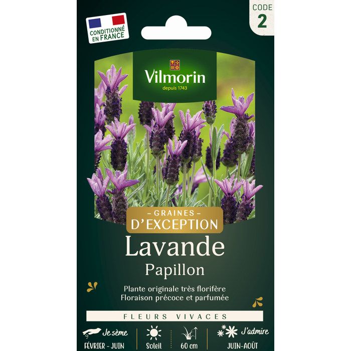 sachet graines Lavande Papillon Lavandula stoechas vilmorin