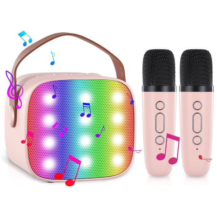Easy Karaoke EKS700 Machine de karaoké numérique Bluetooth® avec deux microphones