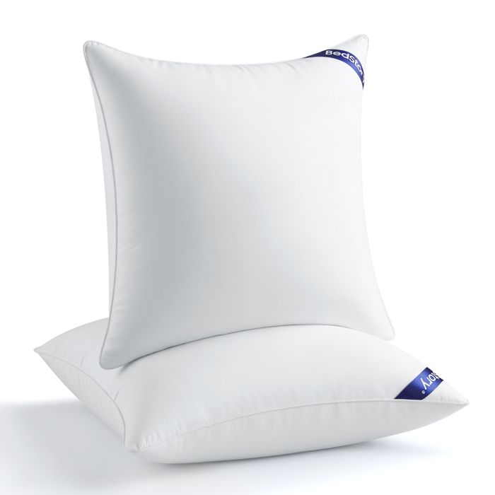 BedStory Lot de 2 Oreillers 65x65cmconvient pour Lit Canapé Chaise