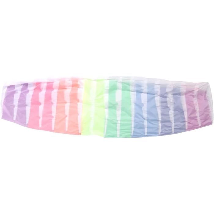 Cerf-Volant - HQ - Libellule Arc En Ciel