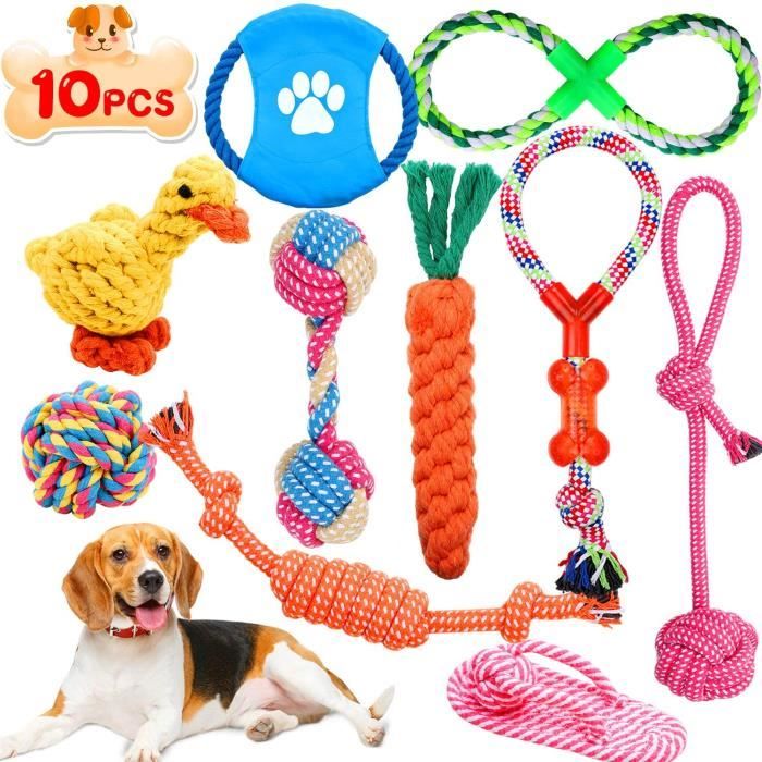 Wimypet Lot de 10 Jouets Chien Chiot, Durables Jouet Corde Chien, Jouet à  Mâcher Corde de Dentition pour Petit et Moyen 277043 - Cdiscount