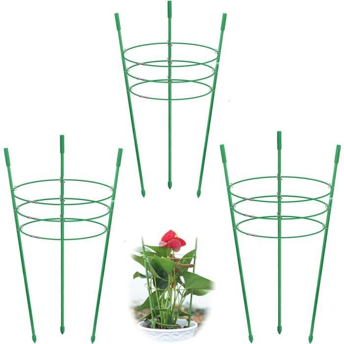 Oasis Biolit Anneau pour plantes Black