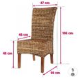 Chaise ELIPS - Abaca/Bois-1