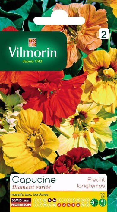Graines Capucine Diamant Variée Double Naine - Vilmorin 5192442 - Fleurs Compactes Longue Floraison