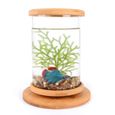 Aquarium,Mini Aquarium en verre rotatif à 360 degrés Betta, Base en bambou, décoration, rotation, accessoires de bureau - Type C-2