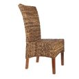 Chaise ELIPS - Abaca/Bois-2
