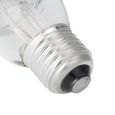 TEMPSA 275W E27 infrarouge Infra-rouge Ampoule lampe Chauffante Lumière Maison Bulb-2