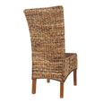 Chaise ELIPS - Abaca/Bois-3