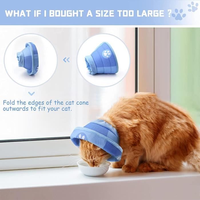 Chaussette pour chat anti grattage store