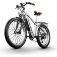 MX04 - Vélo Électrique Rétro - Bafang 1000W - Fat Bike 26 pouces - Batterie Amovible 48V15Ah - Freins Hydrauliques - Argent-0