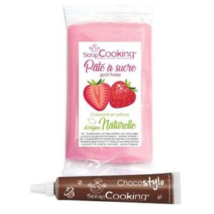 AIDE PÂTISSERIE Pâte à sucre rose 250 g arôme fraise + Stylo chocolat