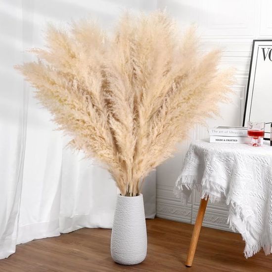 Bouquet Séché De Pampas Et Herbes Naturelles - 64 Pièces Pour Décoration D'intérieur Bohème, Jusqu'à 27 Pouces (68 Cm)