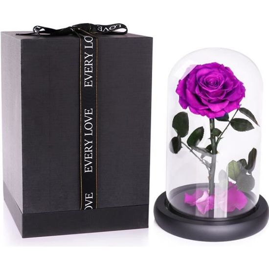 JTTVO cadeaux pour femme anniversaire La rose enchantée de La Belle et la Bête rose eternelle cloche en verre fleur éternel