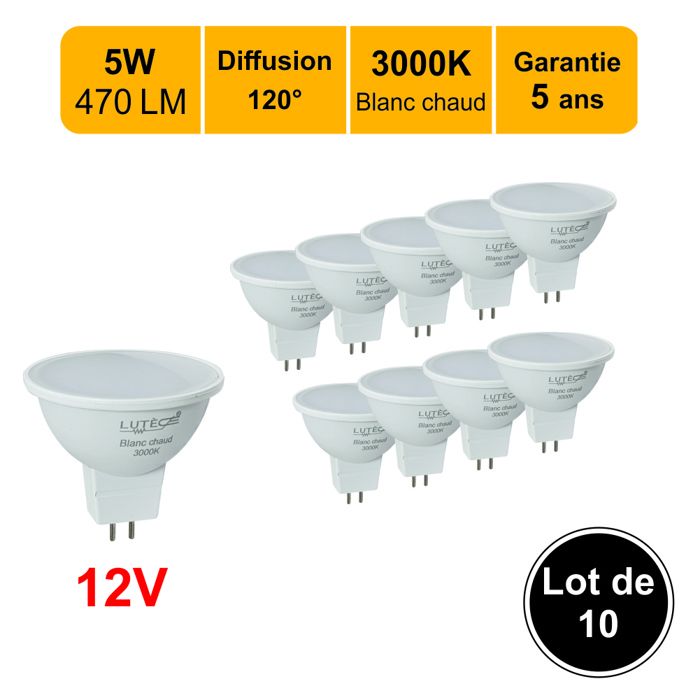 Ampoule LED De Rechange P13.5S 3W - Pour Lampe Torche, Lampe De Travail - Blanc 3V Ou 4-12V - Haute Luminosité - 6
