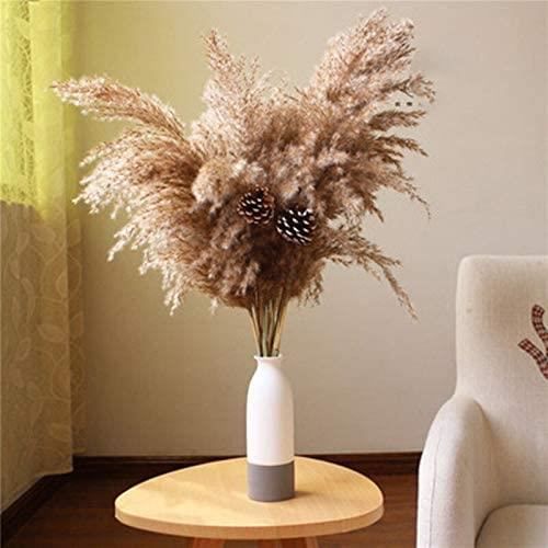 PLANTE ARTIFICIELLE Lot de 10 plantes de pampas en herbe pour décoration de maison, mariage, fleurs séchées1047