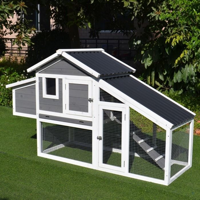 Meilleurs prix pour Poulailler Toit Plastique Jusqu'à 4 Poules Toit Plastique Ondulé