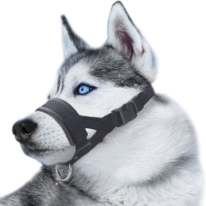 Meilleurs prix pour Muselière pour Chiens - LECOO - Anti-Morsure - Nylon Réglable - Tour de cou 16-28 cm - Tour de bouche 18-30 cm
