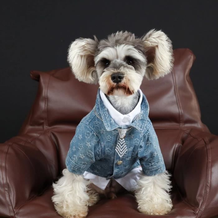 Manteau pour petit chien - Veste en jean Fashion pour chien