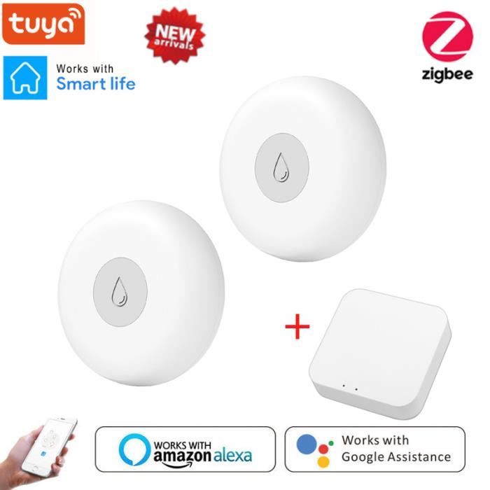 Capteur de Vibration intelligent MOES Zigbee, Notification d'application Tuya Smart Life, alarme de choc de mouvement en temps réel, enregistrement d'historique Capteur de Vibration intelligent MOES Zigbee, Notification d'application Tuya Smart Life, alarme de choc de mouvement en temps réel, enregistrement d'historique