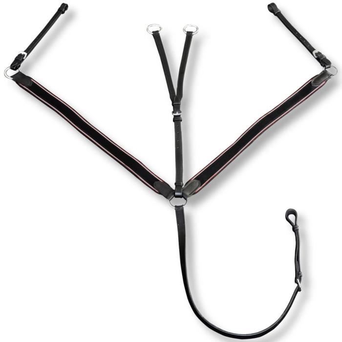 Martingale à Anneaux Vespucci - Noir