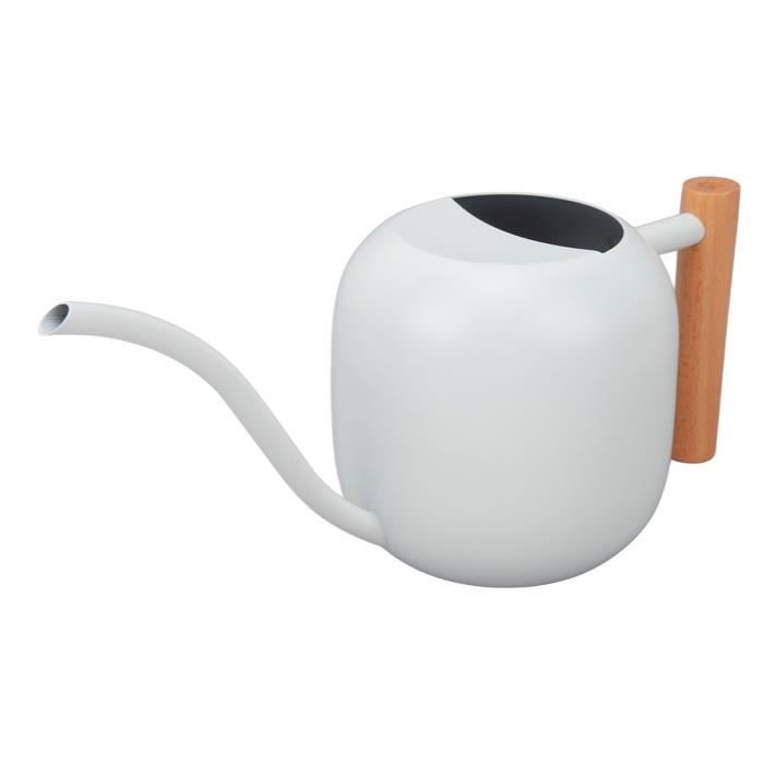 Pacienjo Arrosoir En Acier Inoxydable, 35 Oz/1000 ML En Métal Arrosoir Plant E Interieur